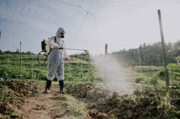 Best Affordable Pest Control Services  in Long Lake, MN