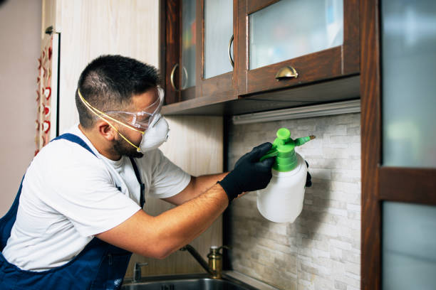 Best Flea Control Services  in Long Lake, MN