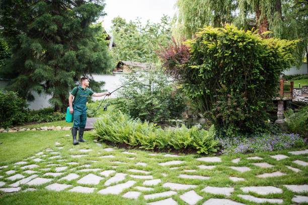 Reliable Long Lake, MN Pest Control Solutions
