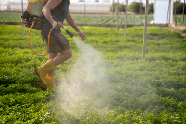 Best Affordable Pest Control Services  in Long Lake, MN