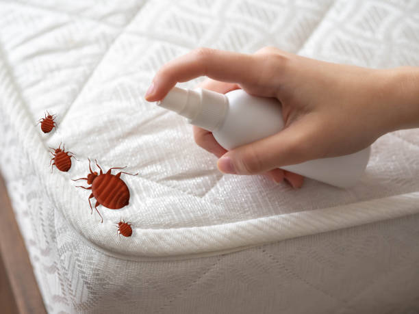 Best Pest Control Near Me  in Long Lake, MN