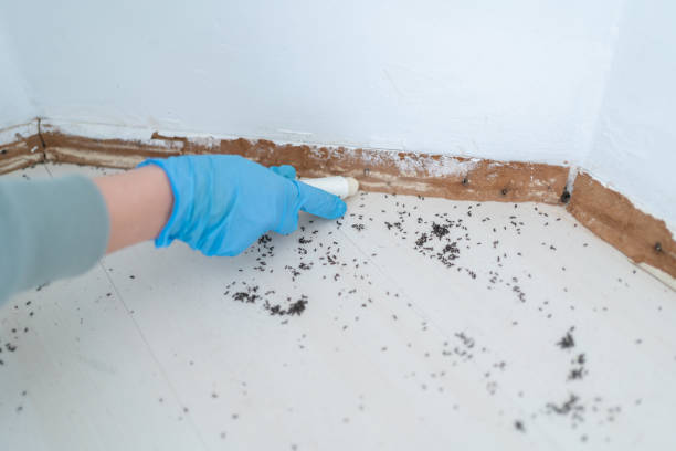 Best Pest Removal Services  in Long Lake, MN