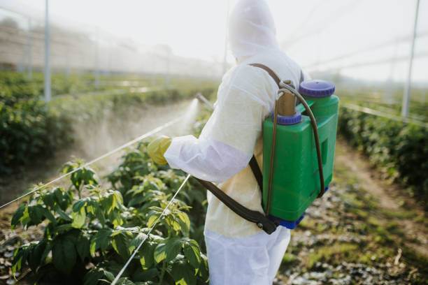 Professional Pest Control in Long Lake, MN